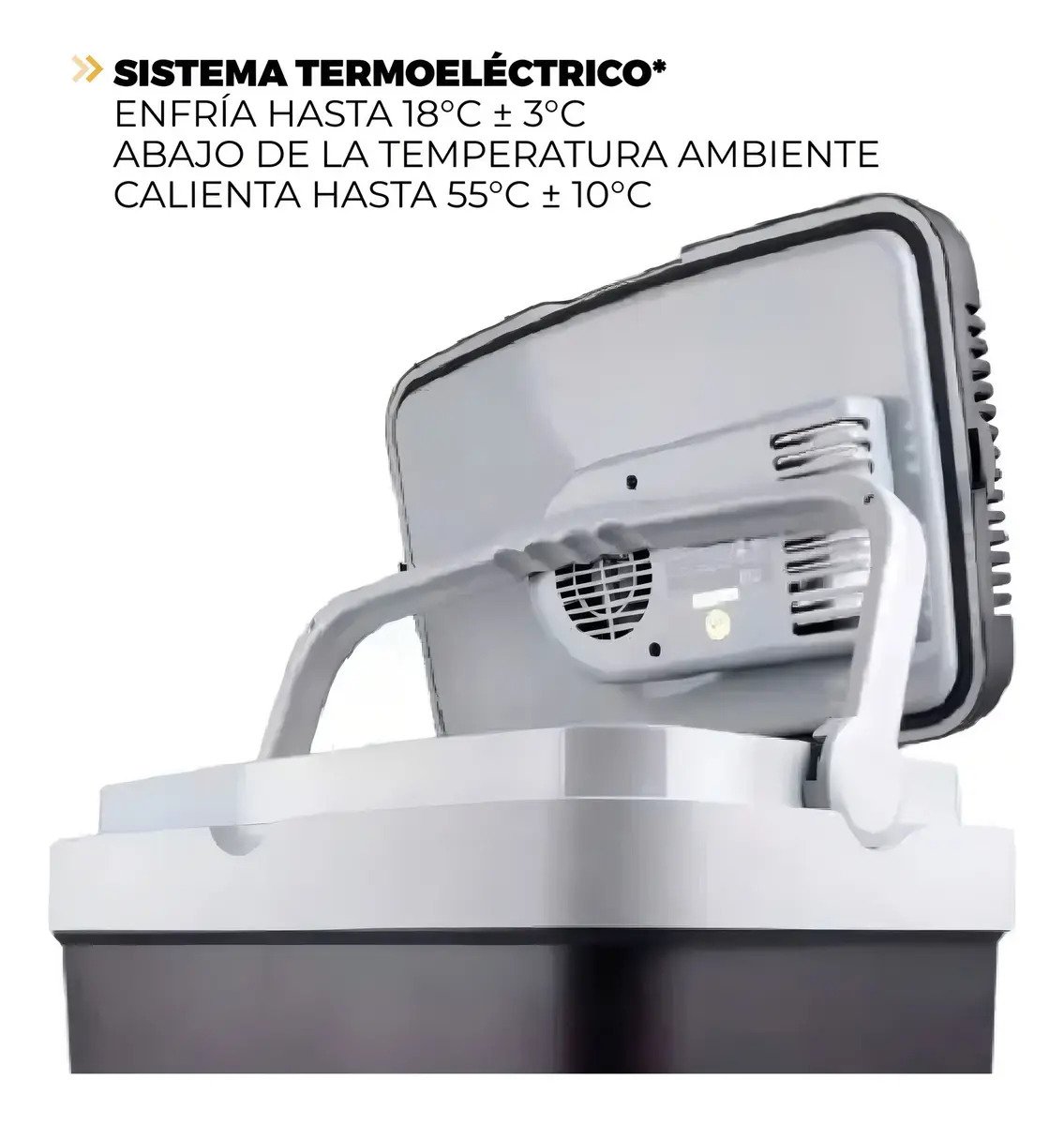 Heladera Conservadora Blackdecker Termoelectrica Portatil 33 Litros Frio Calor 12v 220v Bdc33l Color Negro