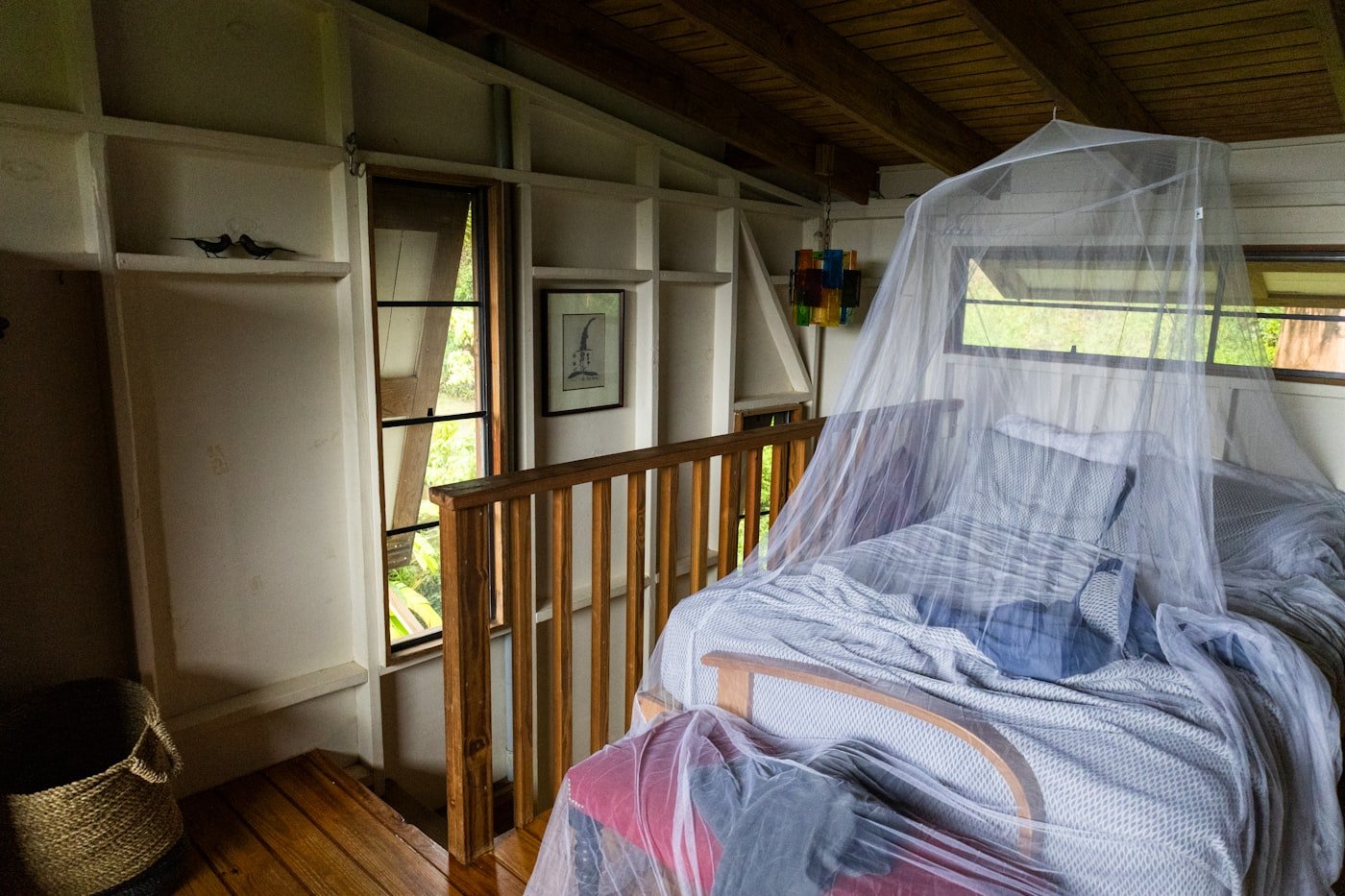 Dormitorio acogedor protegido con mosquitera durante la noche